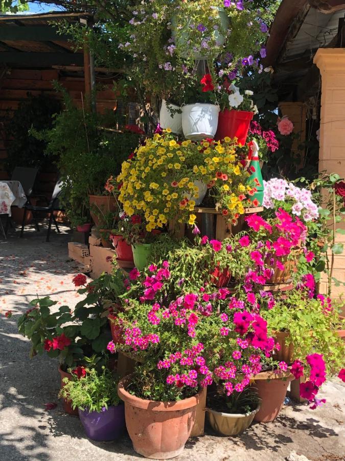 Natasha'S Home Перама Экстерьер фото